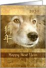 Happy Chinese New Year of the Dog 2030 Dog with Golden Eyes card