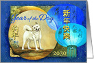 Happy Chinese New Year of the Dog 2030 White Dog & Lanterns card