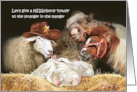 Baby Jesus in Manger with Funny Animals for Western Christmas card