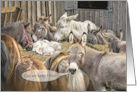 Baby Jesus in Manger with Donkeys and Ponies for Christmas card