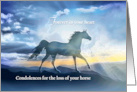 Horse at Sunrise with Light Rays Sympathy on Loss of Your Horse card
