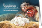 Christmas Ponies with Baby Jesus in Manger Funny Christmas Pony card