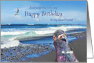 To My Friend Happy Birthday Cute Pigeon on Beach card