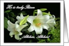 He Is Truly Risen Easter Lilies for Sister Pauline Gratton card