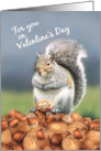 Happy Valentine’s Day to You Cute Squirrel with Nut card