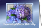 To Mom Happy Mother’s Day from Daughter with Purple Hydrangeas card