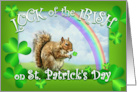 Happy St. Patrick’s Day Lucky Squirrel with Rainbow & Shamrocks card