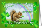 Happy Birthday on St. Patrick’s Day Squirrel & Shamrocks & Rainbow card