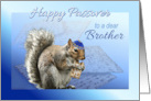 Happy Passover Squirrel to Brother Squirrel With Matzah & Kippah card
