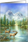 Morning Light, Elks and Mountain Lake, Original Art Blank Card