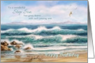 Happy Birthday to Step Son Seascape with Waves and Seagulls card