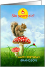 6 Year Old Grandson, Happy 6th Birthday, Squirrel on Toadstool card