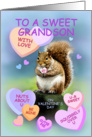 For Grandson, Cute Squirrel Valentine, I Wuv U card