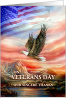 Veterans Day Thanks, Flying Eagle and American Flag card