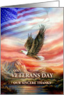 Veterans Day Thanks, Flying Eagle and American Flag card