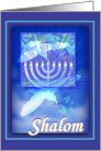 Shalom on Chanukah Happy Hanukkah Dove of Peace card