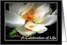 Celebration of Life Memorial Service and Funeral Invitation Magnolia card