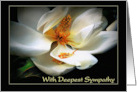 Deepest Sympathy with Condolences Magnolia in Bloom card