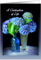 Celebration of Life...