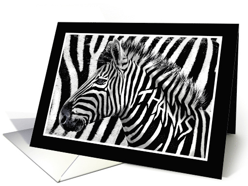 Zebra Print Thank You Note Thanks Written in Zebra's Stripes card