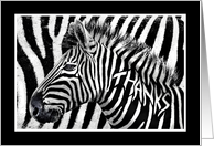 Zebra Print Thank You Note Thanks Written in Zebra’s Stripes card