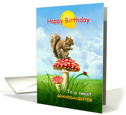 To Granddaughter, Happy Birthday Squirrel on a Toadstool card