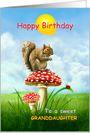 To Granddaughter, Happy Birthday Squirrel on a Toadstool card
