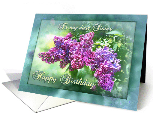 Happy Birthday Sister, Purple and Aqua Lilac Garden card (1285022)