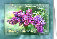 Happy Birthday Sister in Law, Purple Lilac Garden card