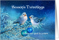 Season’s Tweetings from our Nest, Christmas Birds in Snowy Branches card