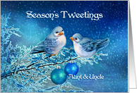 Season’s Tweetings to Aunt & Uncle, Christmas Birds in Snowy Tree card