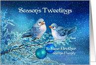 Season’s Tweetings Brother & Family, Christmas Birds in Snowy Tree card