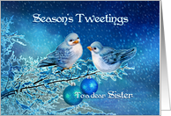 Season’s Tweetings Sister, Christmas Birds in Snowy Tree card