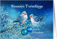 Season’s Tweetings to Grandma, Christmas Birds in Snowy Tree card