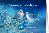 Season’s Tweetings to Great Grandma, Birds in Snowy Tree card