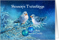 Season’s Tweetings to Son & Family, Christmas Birds in Snowy Tree card