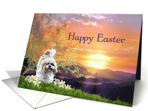 Happy Easter from Pet, Shih Tzu Dog and Lilies at Easter Sunrise card