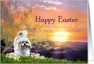 Happy Easter from Pet, Shih Tzu Dog and Lilies at Easter Sunrise card