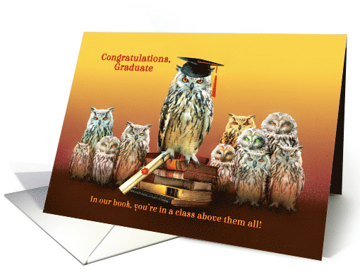 Graduation Congratulations Graduate Owl with Cap and Diploma card