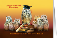 Graduation Congratulations Graduate Owl with Cap and Diploma card