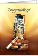 Graduation Congratulations, Graduate Owl in Cap with Diploma card