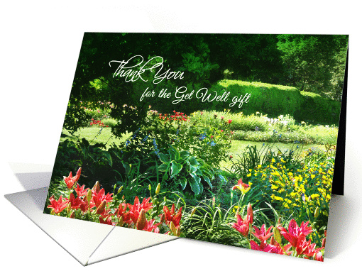 Thank You for the Get Well Gift, Sunny Garden with Red Lilies card