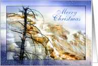 Merry Christmas Yellowstone Park Mammoth Hot Springs in Winter card