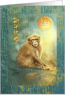 Chinese New Year of the Monkey, Coin as Full Moon, Monkey 2028 card