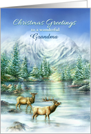 Merry Christmas Greetings, Snowy Mountain Elk Lake Custom Front card
