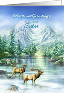 Christmas Greetings to My Sister Snowy Mountains Lake & Elk card