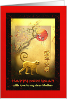 Chinese New Year of the Monkey, Moon, Custom Front Add Relation card