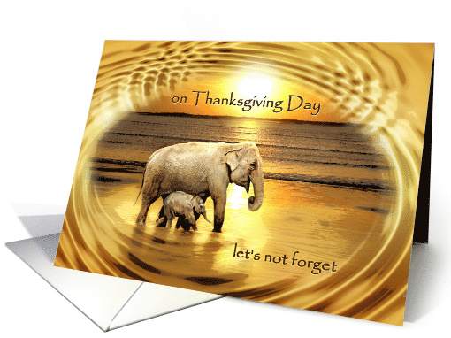 Happy Thanksgiving Elephants Never Forget Be Thankful Elephants card