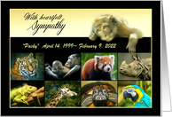 Sympathy for the Loss of Zoo Animal, Monkey and Animals, Custom card