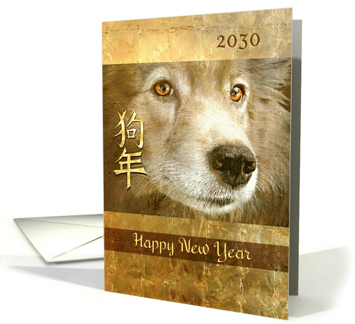 Happy Chinese New Year of the Dog 2030 Dog with Golden Eyes card